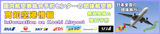 高知空港の情報と団体航空券のチェックインについて