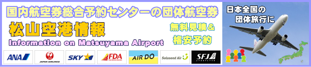 松山空港の情報と団体航空券のチェックインについて