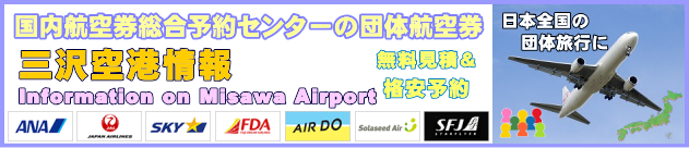 三沢空港の情報と団体航空券のチェックインについて